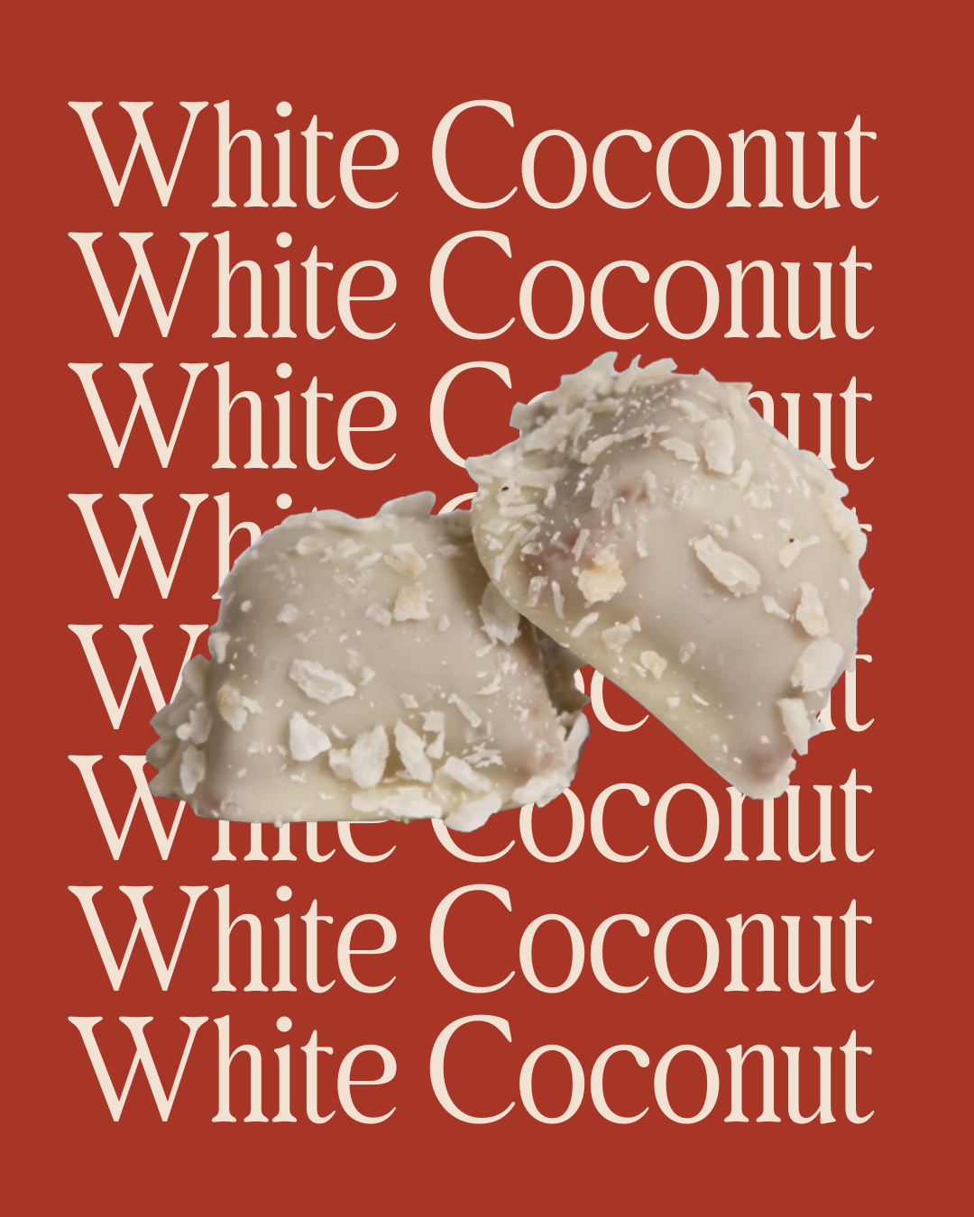 White Chocolate Balls Rolled in Coconut Flakes